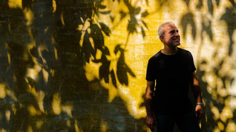 MBO La Maison Palmier Header