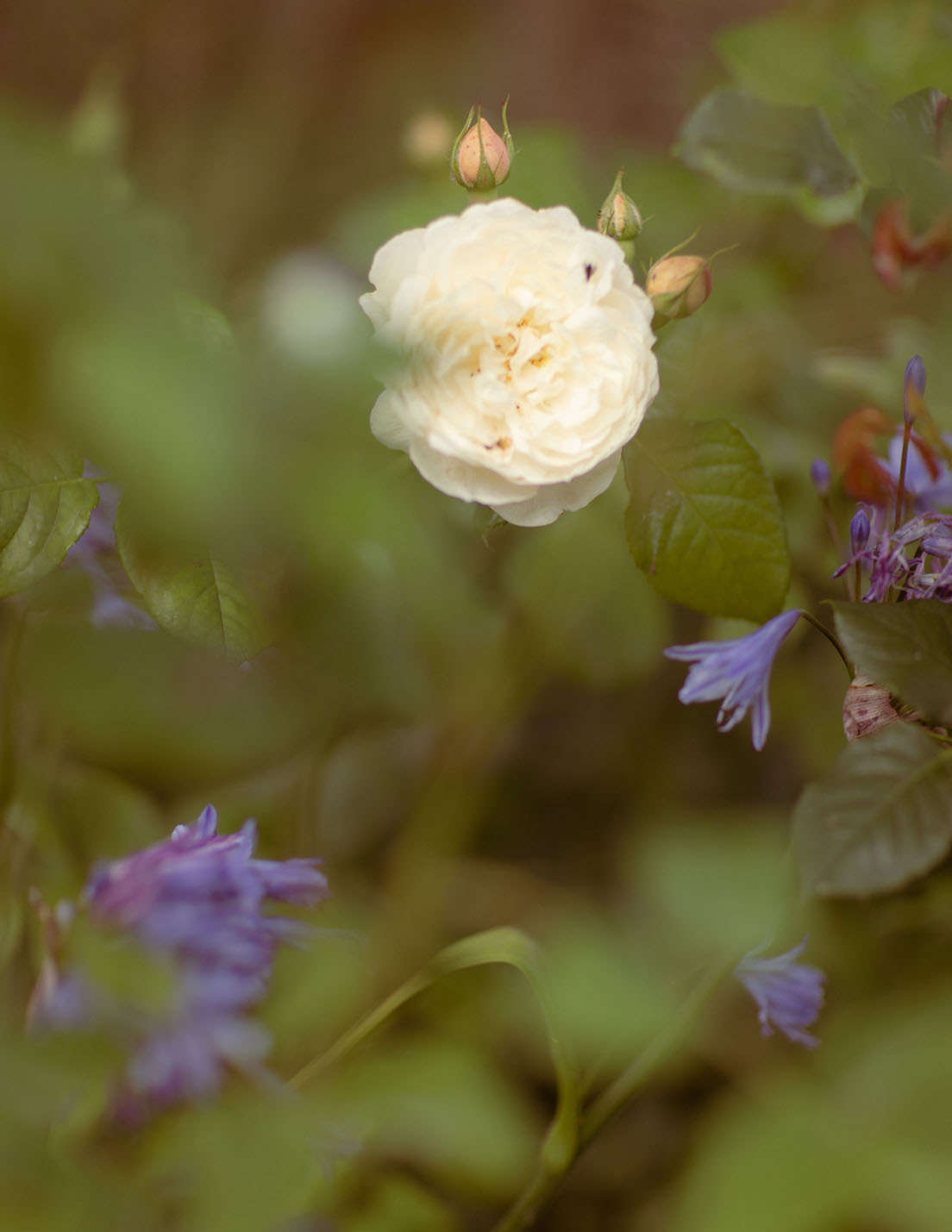 DH22 Studiolondon 33