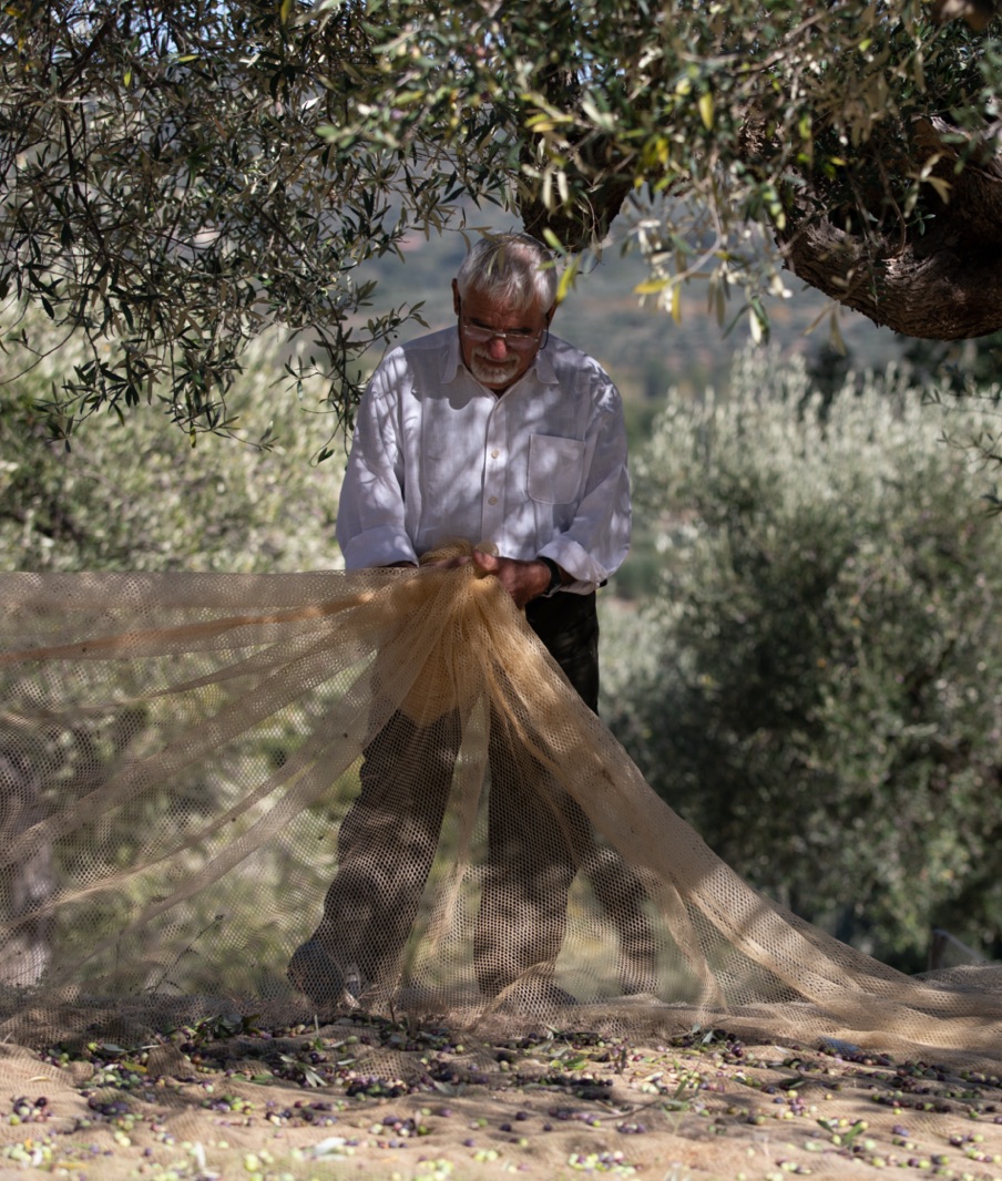 Rastrello Boutique Hotel Theme Box 03 Food And Drink 2