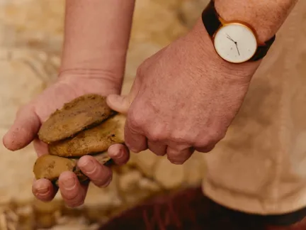 018 MBO Vocabolo Moscatelli