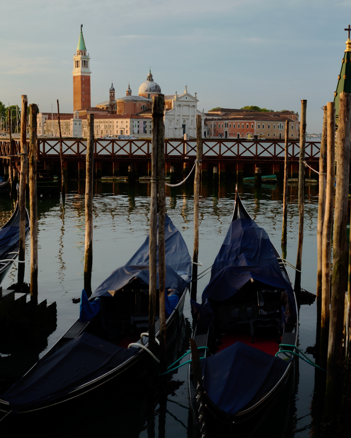 14A Originals Elizabeth Unique Venice