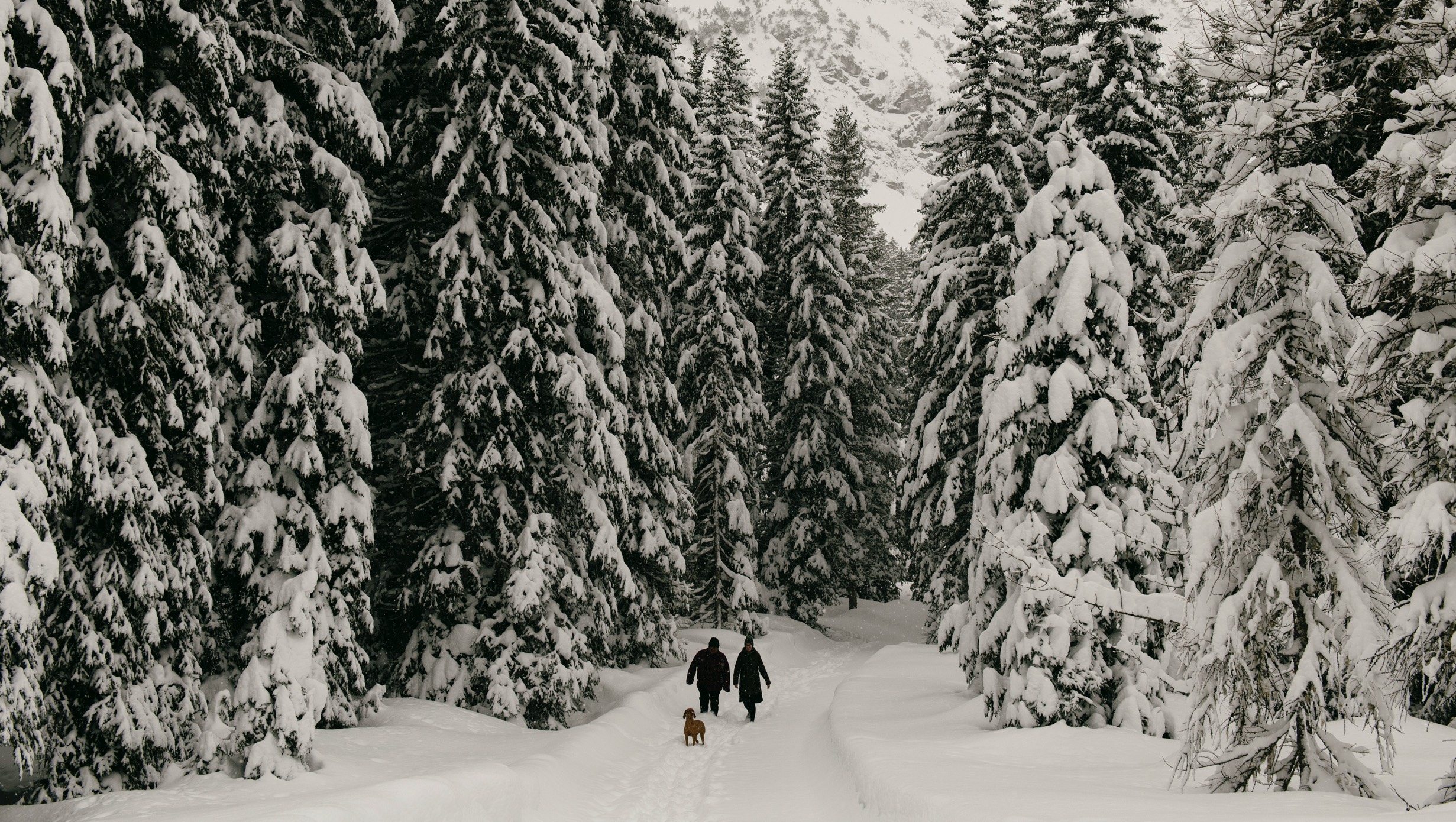 Rote Wand Gourmet Hotel The Originals