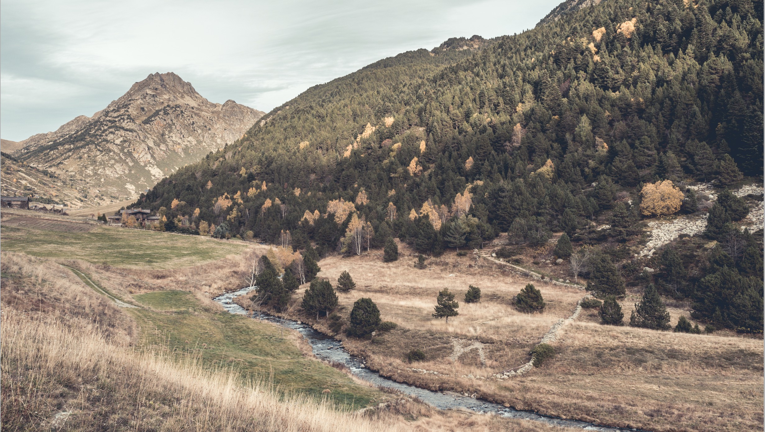 Journal Article Autumn 2023 19