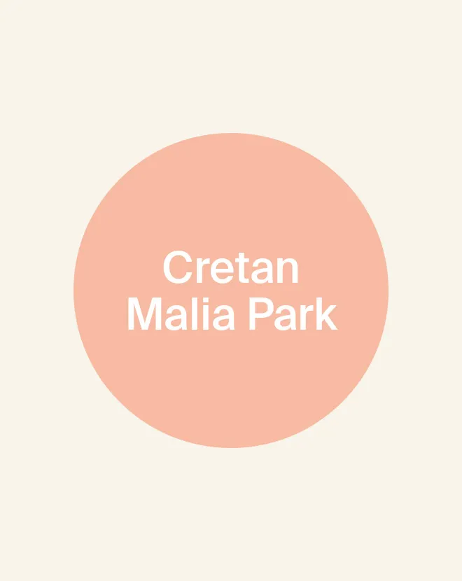 DH Arena Spaker Illu Cretanmalia