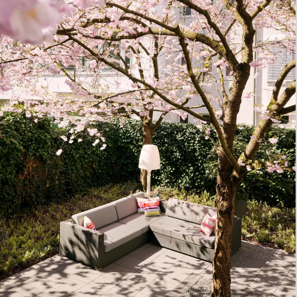 The George Theme Box 04 Garden 02