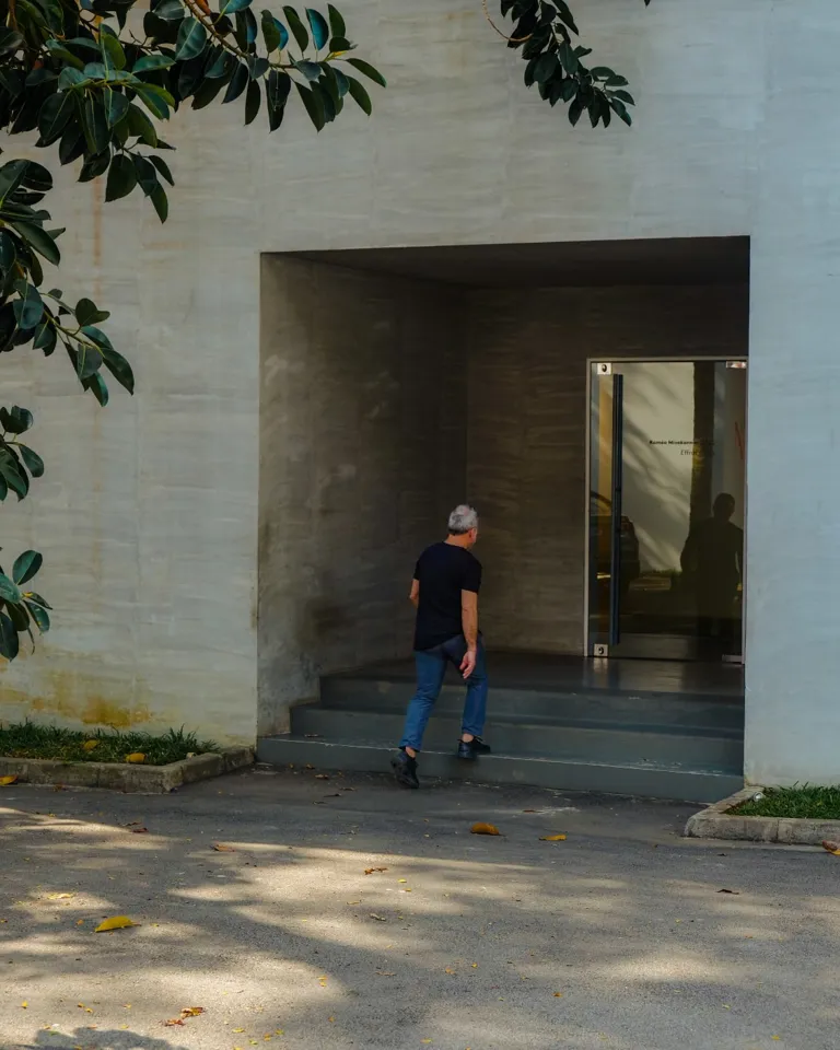 MBO La Maison Palmier Image 06