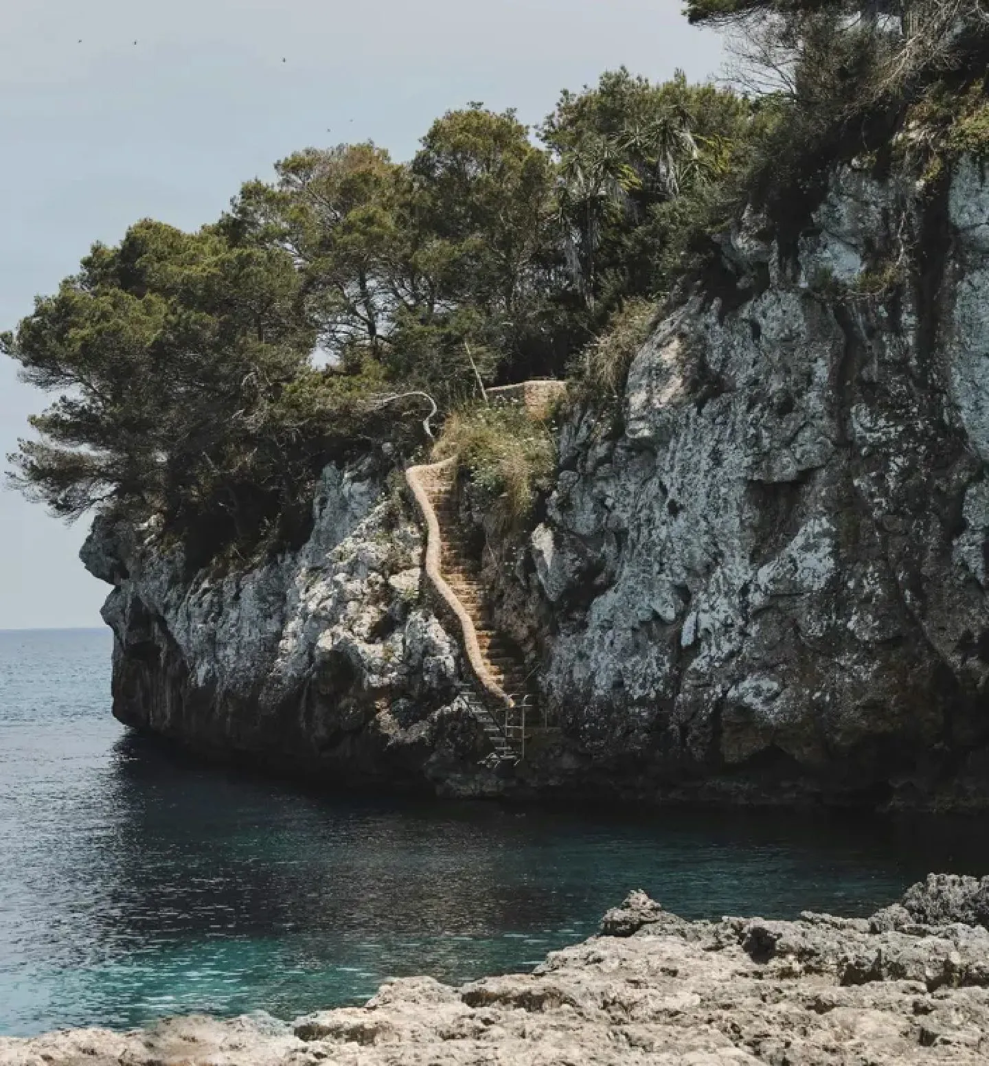 DH Journal Culture Stories