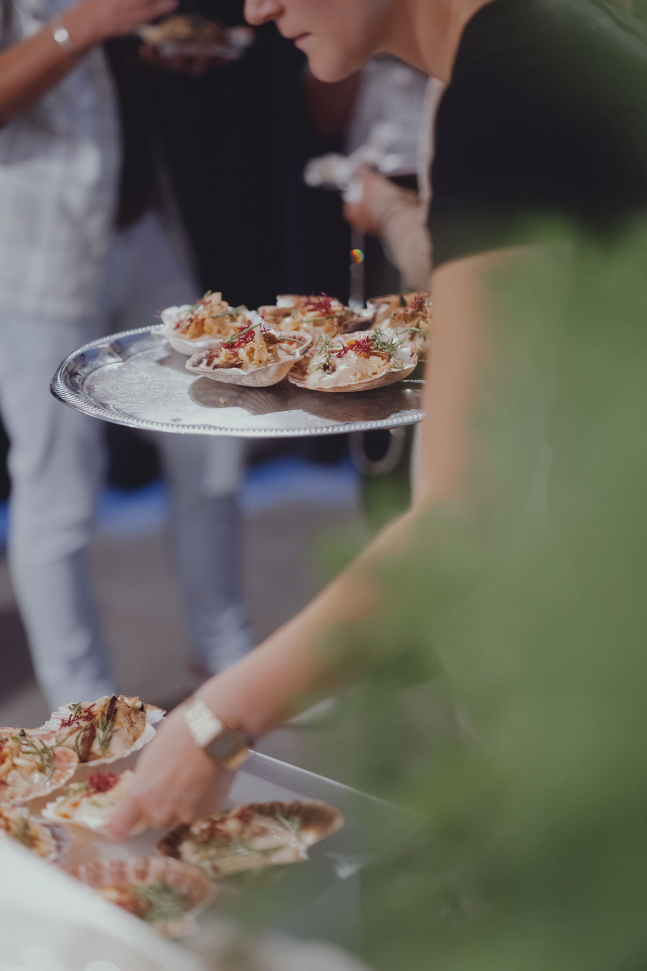 DH25 Aneveningwith Hamburg 07