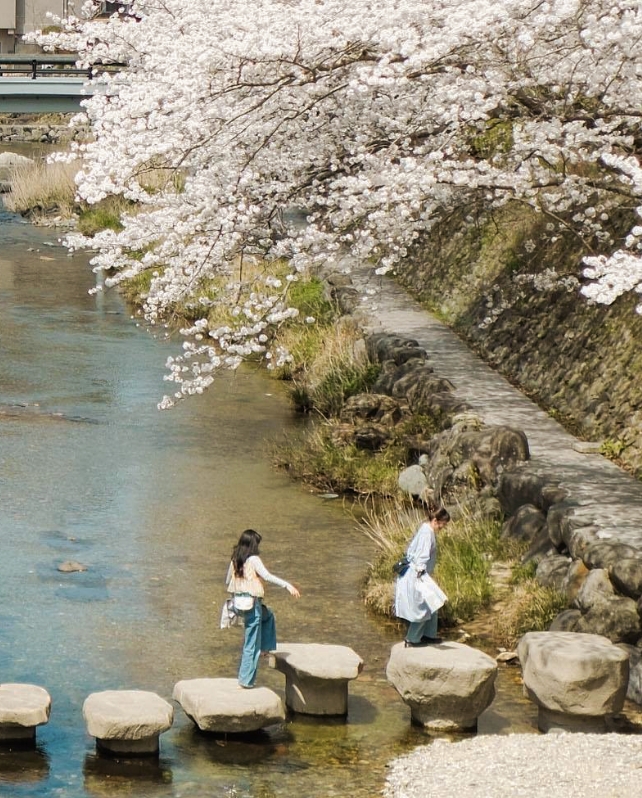 Soil Nagatoyumoto Usp 03