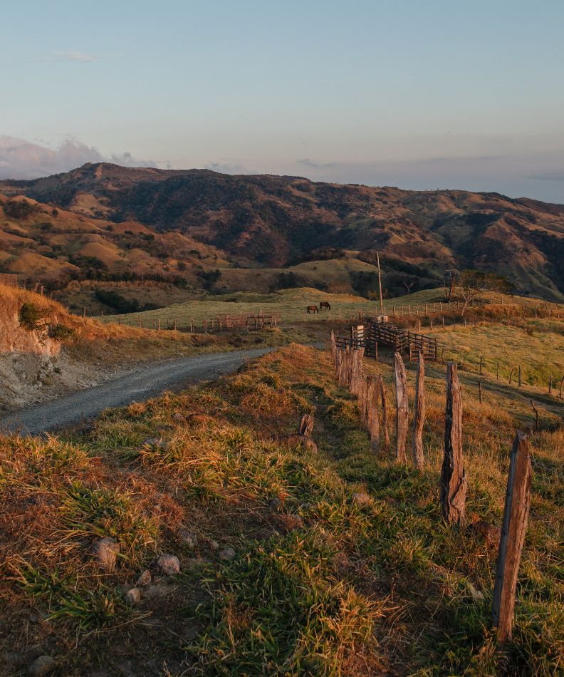 Hotel Belmar Theme Box 01 Destination 3