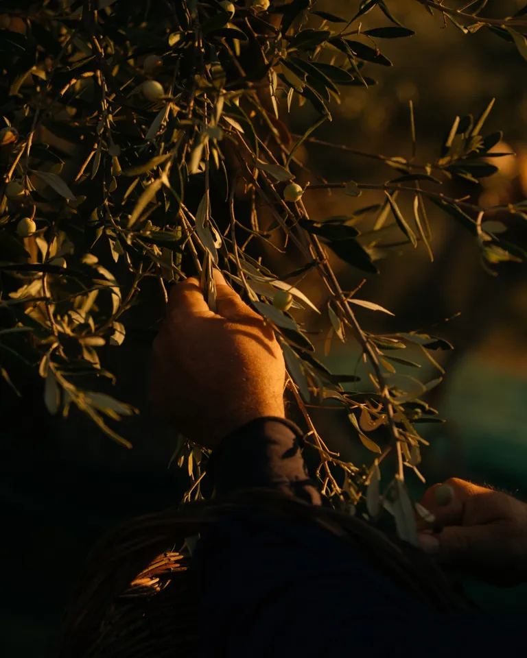 05 Culture Blogpost Sweet Tooth