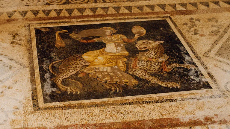 Ariana Vafadari Cover 02