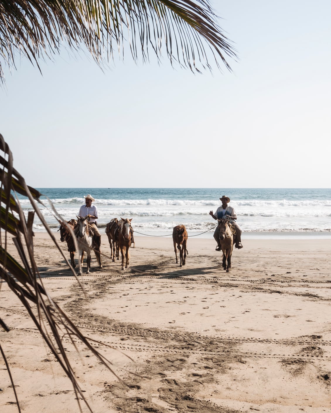 003 Lo Sereno Casa De Playa Beach Horses