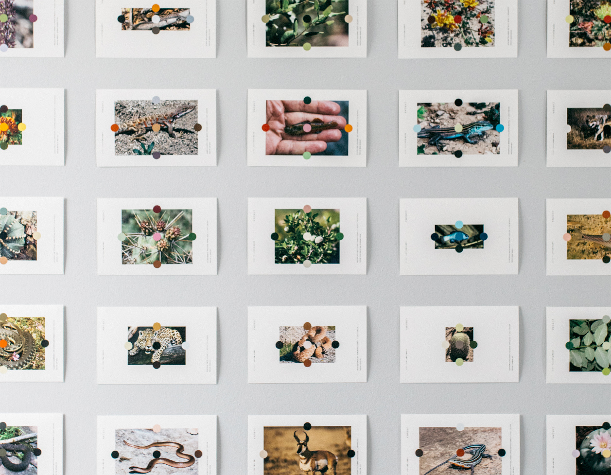 03 Further Marfa Erick Left