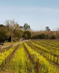 22 Best Of Wine