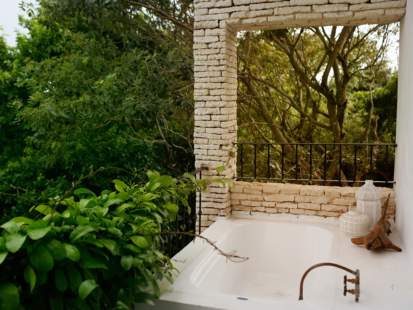 Hotel La Semilla Suites Terraza R 6