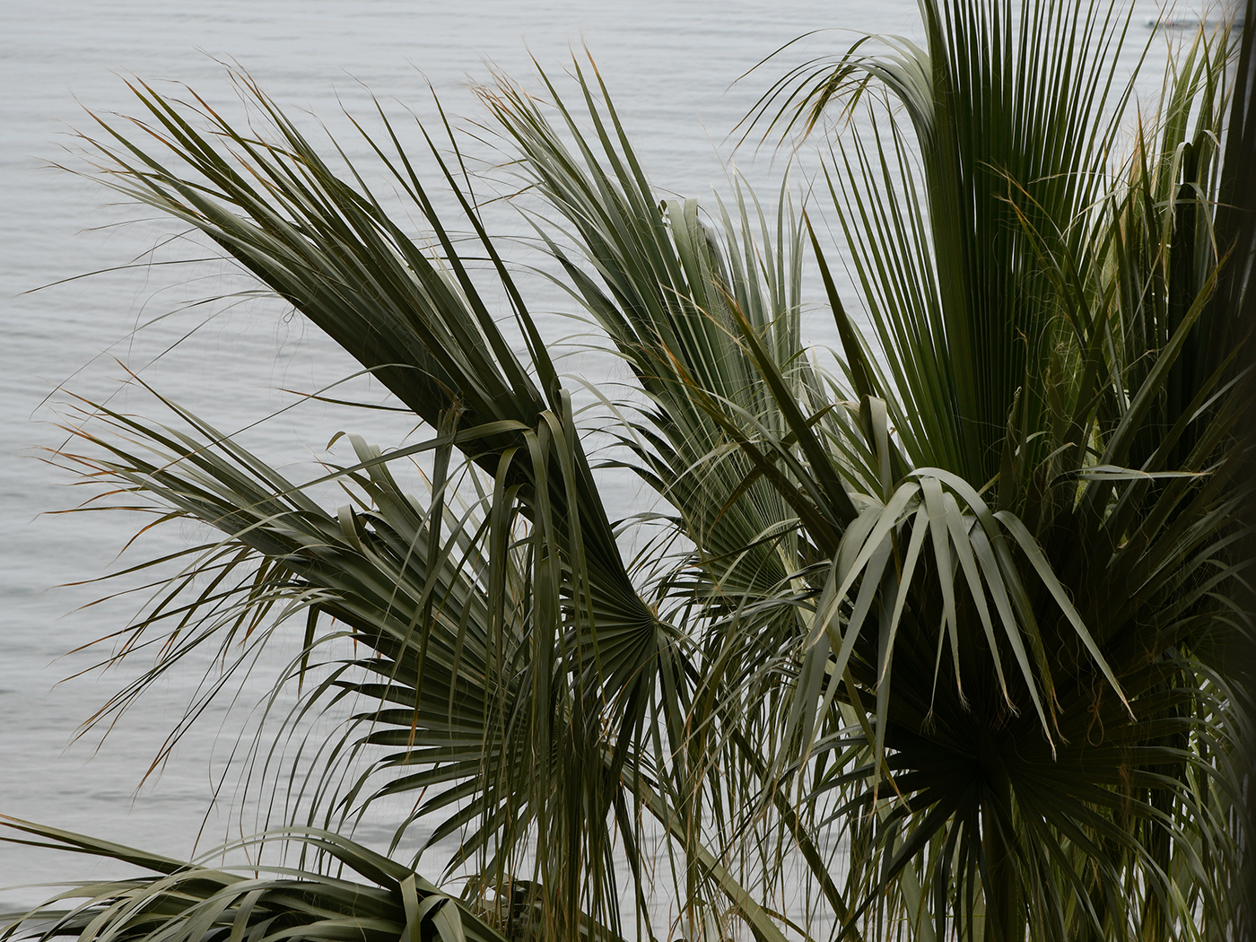 Hotel Windsor Wellness Room Balcony R 04