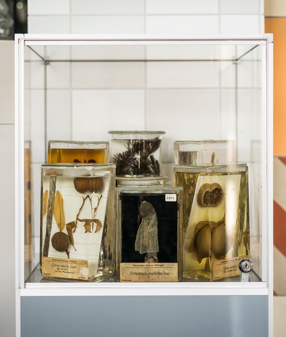 Freigeist Goettingen 01