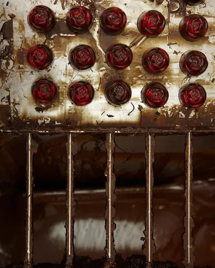 004 Rosas And Xocolate Chocolate Machine