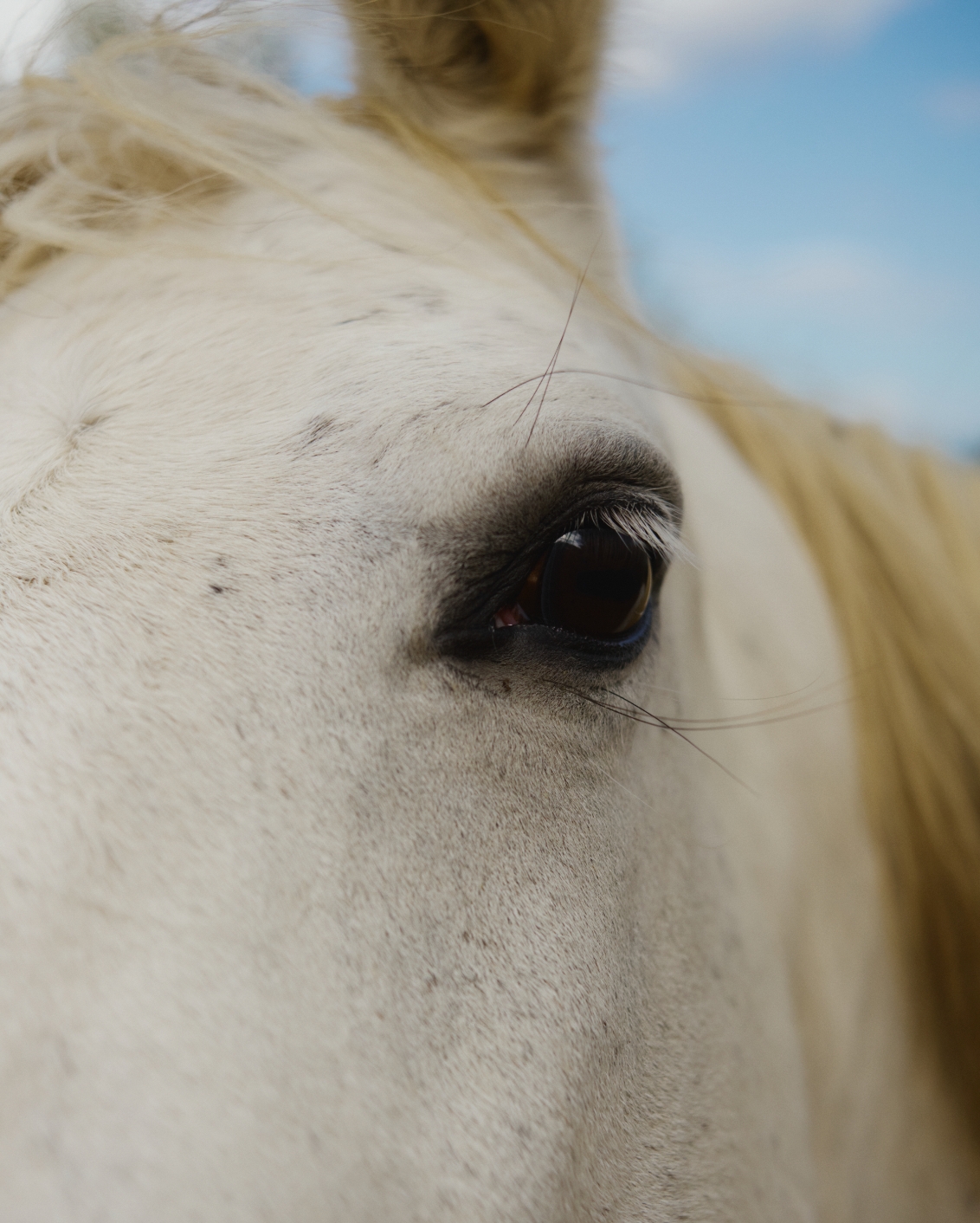 14B Originals Tella Thera