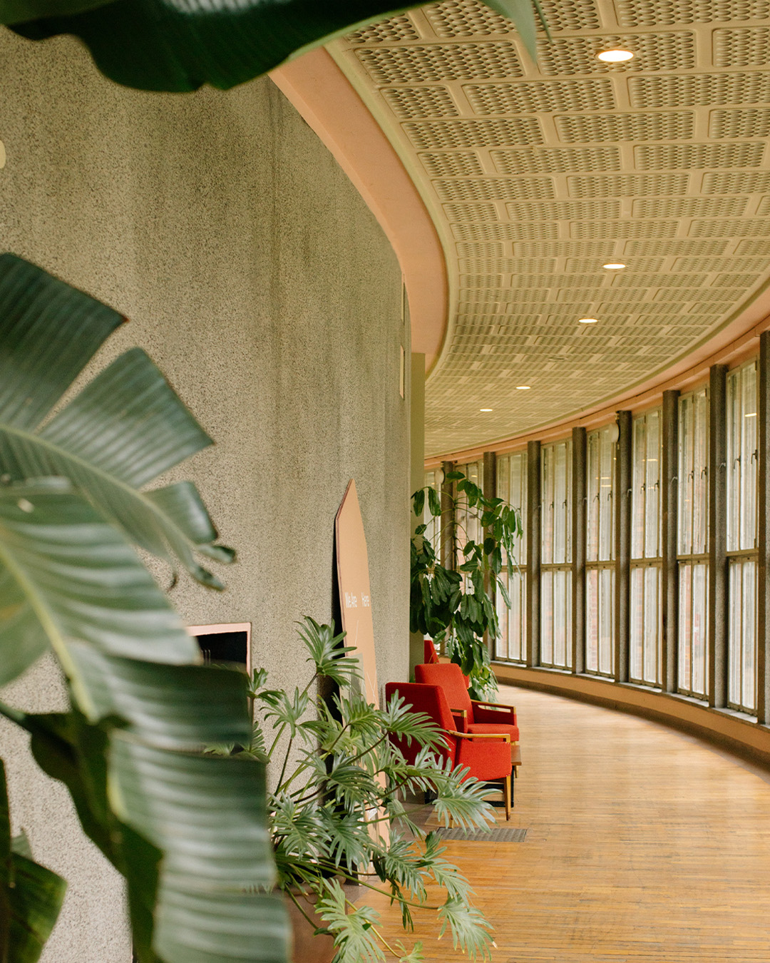 Microsoftteams Image (47)