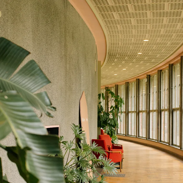 Microsoftteams Image (47)