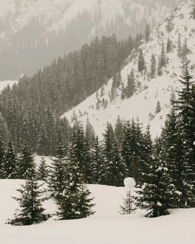 003 Rote Wand Walch Landscape