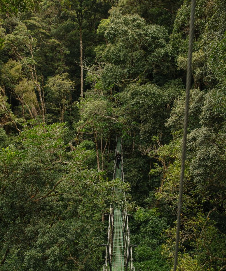 Hotel Belmar Theme Box 01 Destination 1