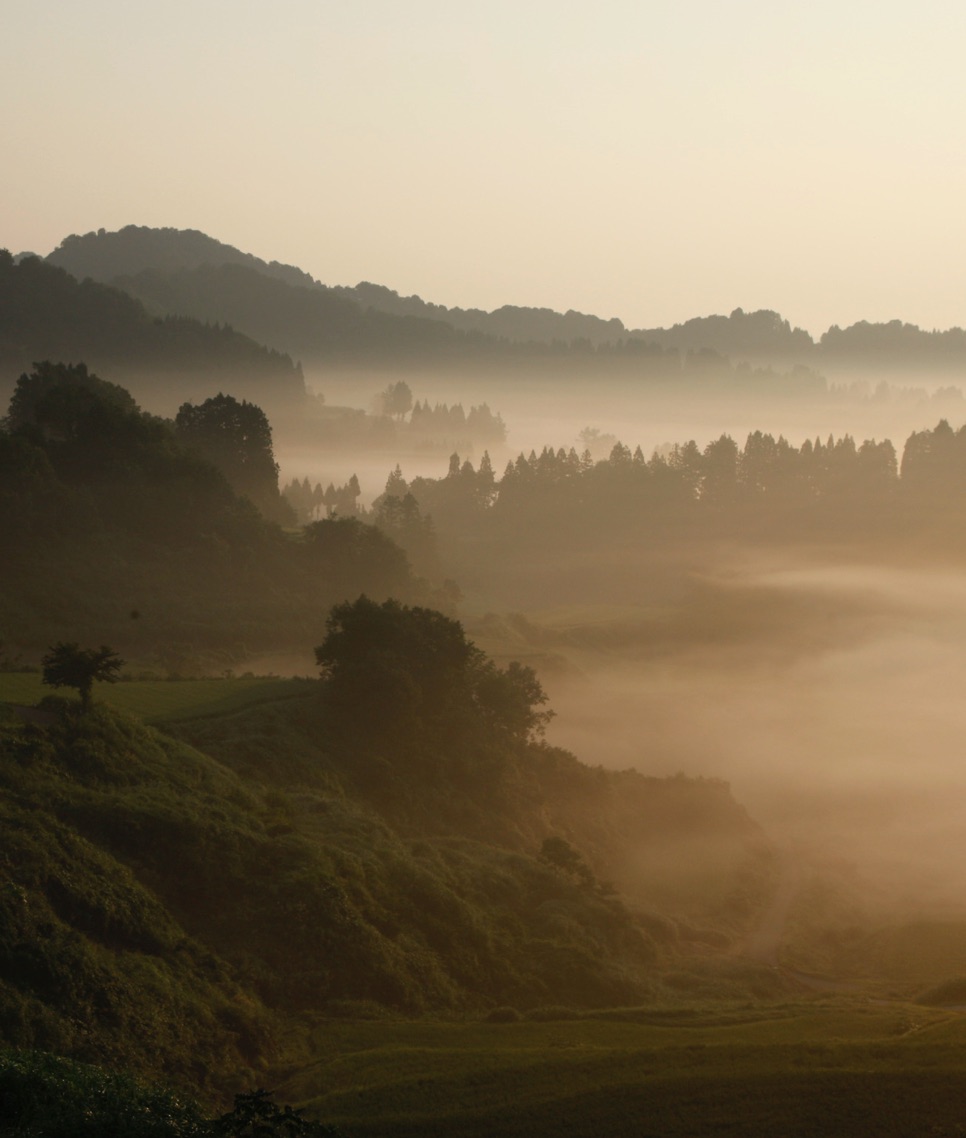 009 Foggy Destinations BP