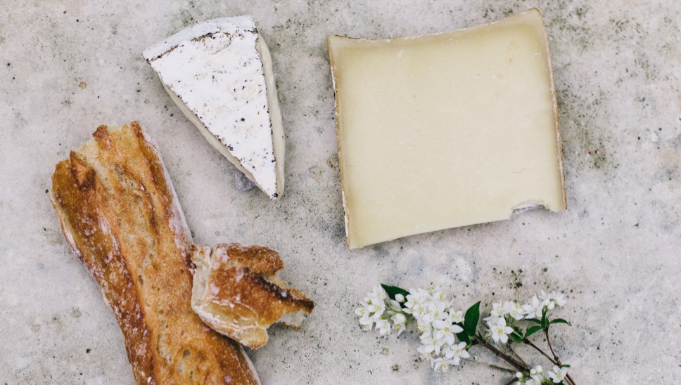 BP Cervo Panel Food Sustainability 06