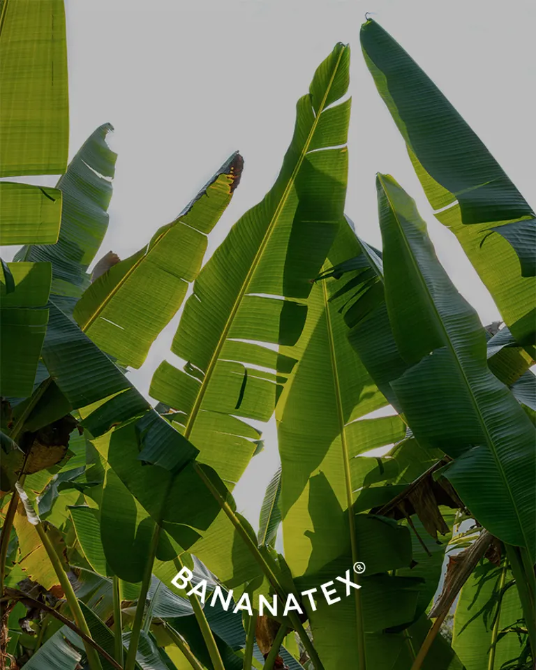 DS Sustainability Brands Bananatex