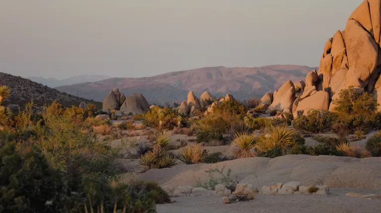 20 Scenic Road Trips