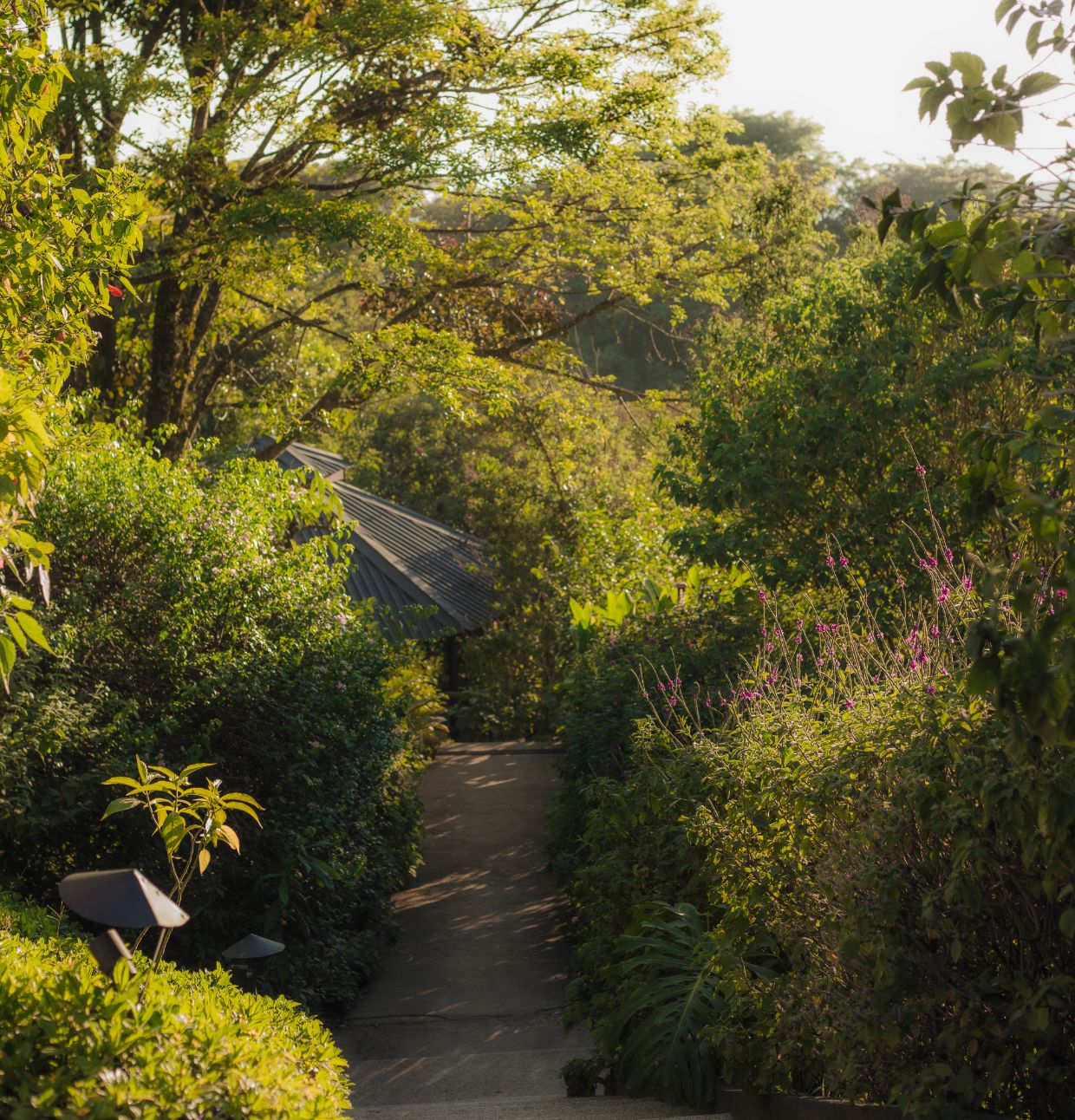 Hotel Belmar Architecture 2