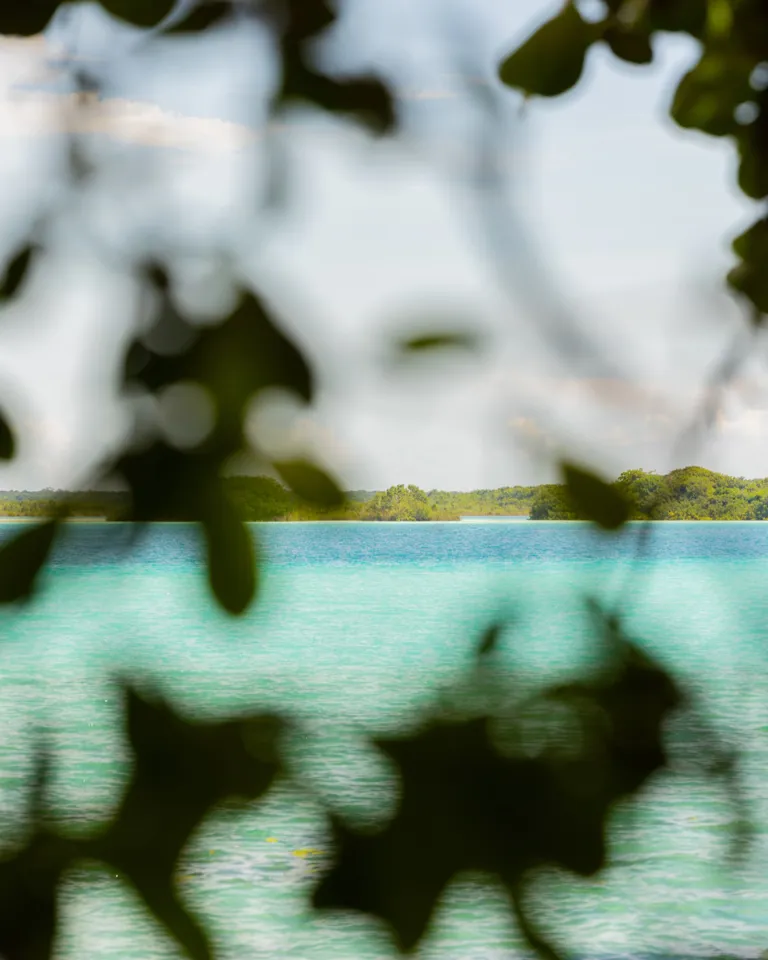 013 Rodrigo Juarez Jungle Lagoon