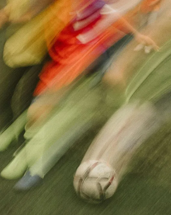 JS Stories World Cup