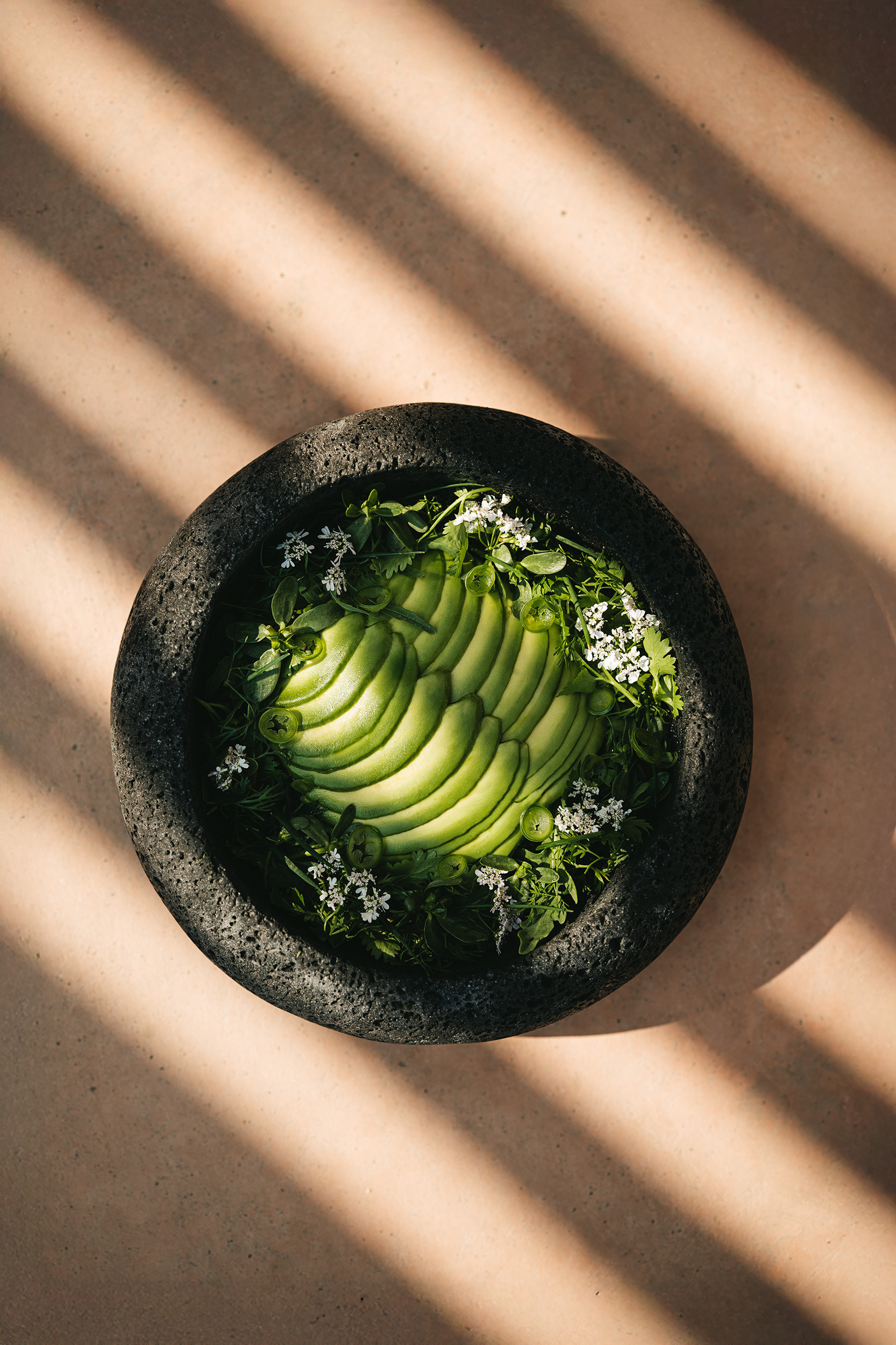 G 26 Mira Earth Studios Mexico