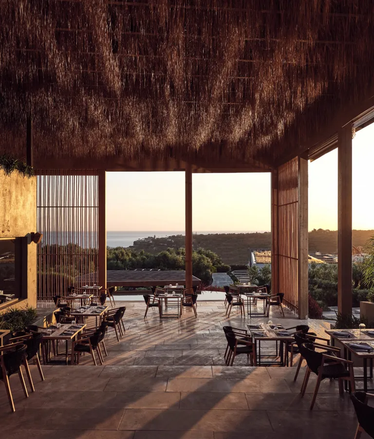 Olea All Suite Hotel Theme Box 02 Food And Drink