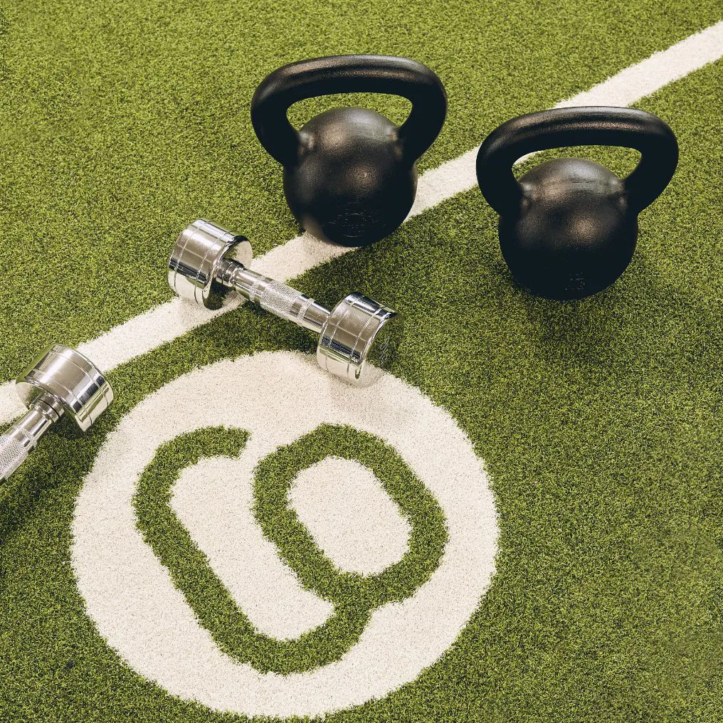 Cortiina Theme Box 02 Wellness