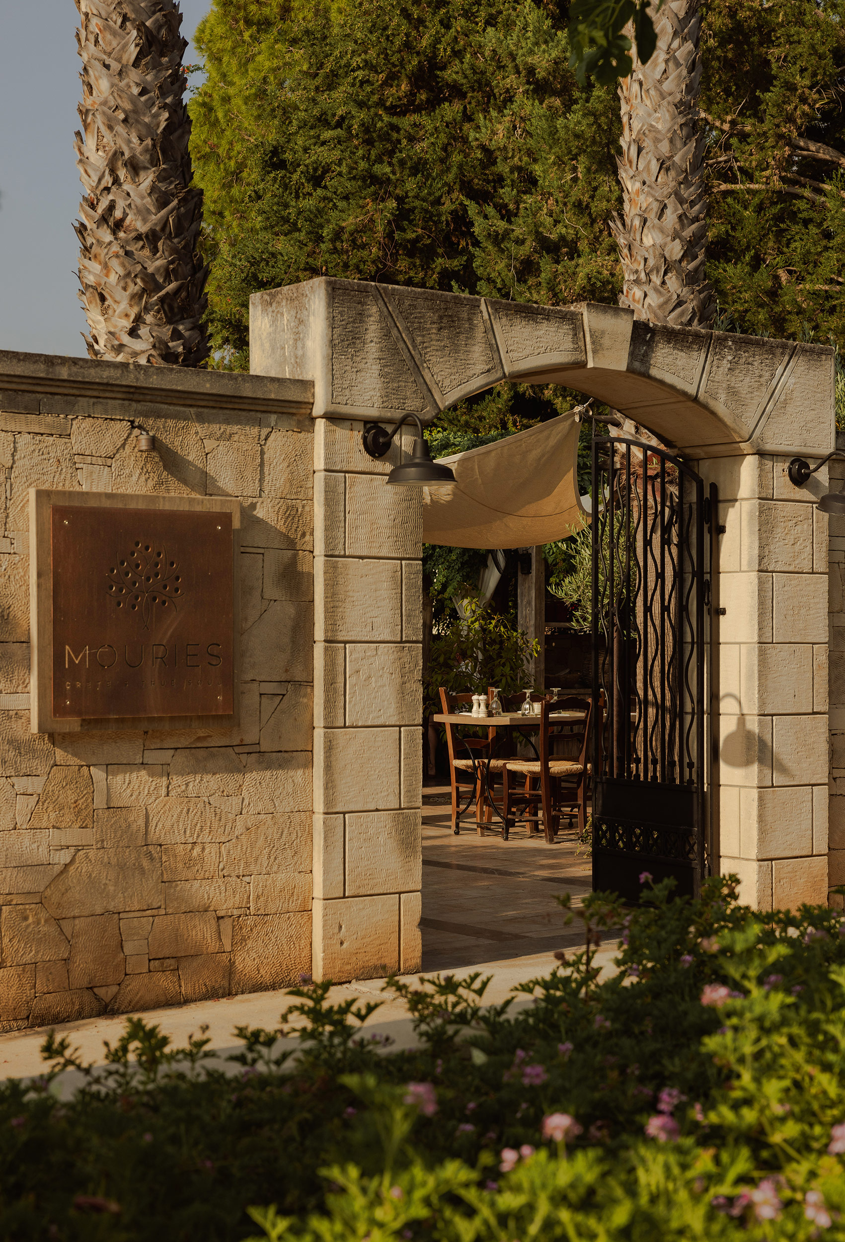 G 22 Phaea Cretan Malia