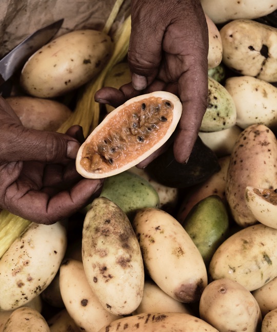 BP Beautiful Gardens 05