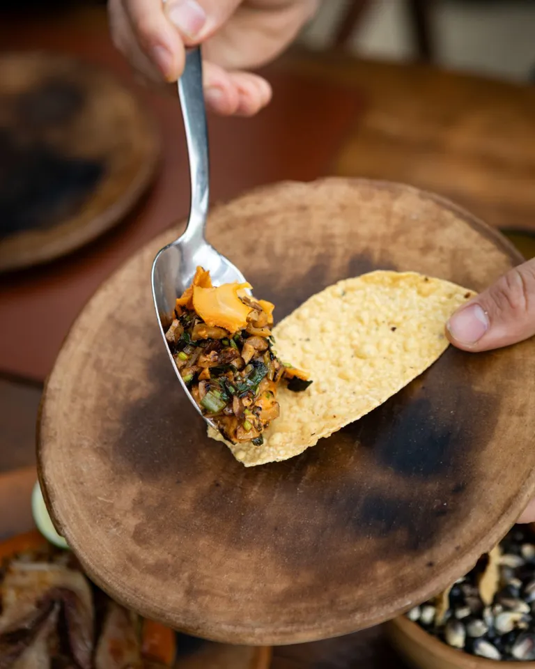 14 DH The Originals Mira Earth Studios Food Tacos