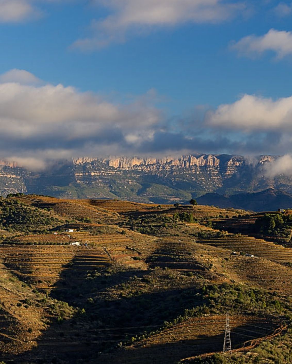 DH26 Journal Best Wine Hotels 20B