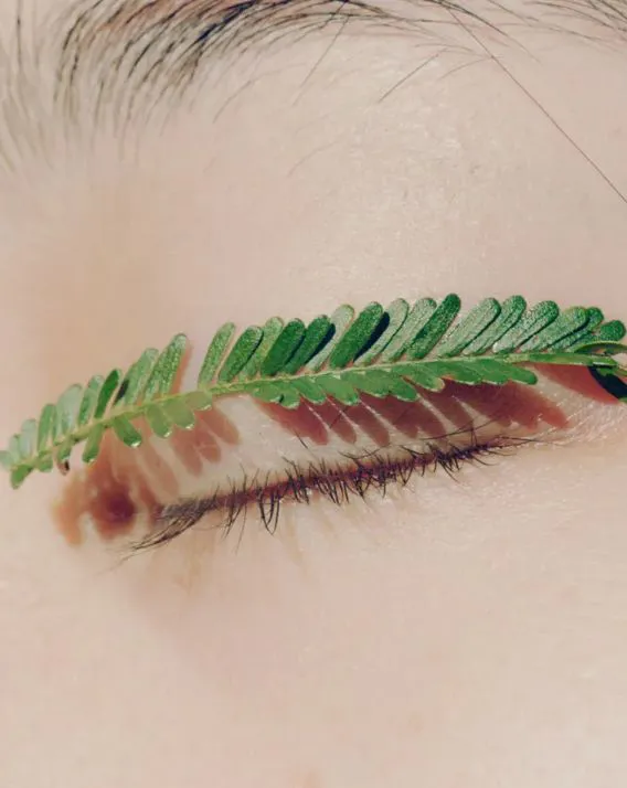 DH Journal Box Weeks 40 41 Stories 01