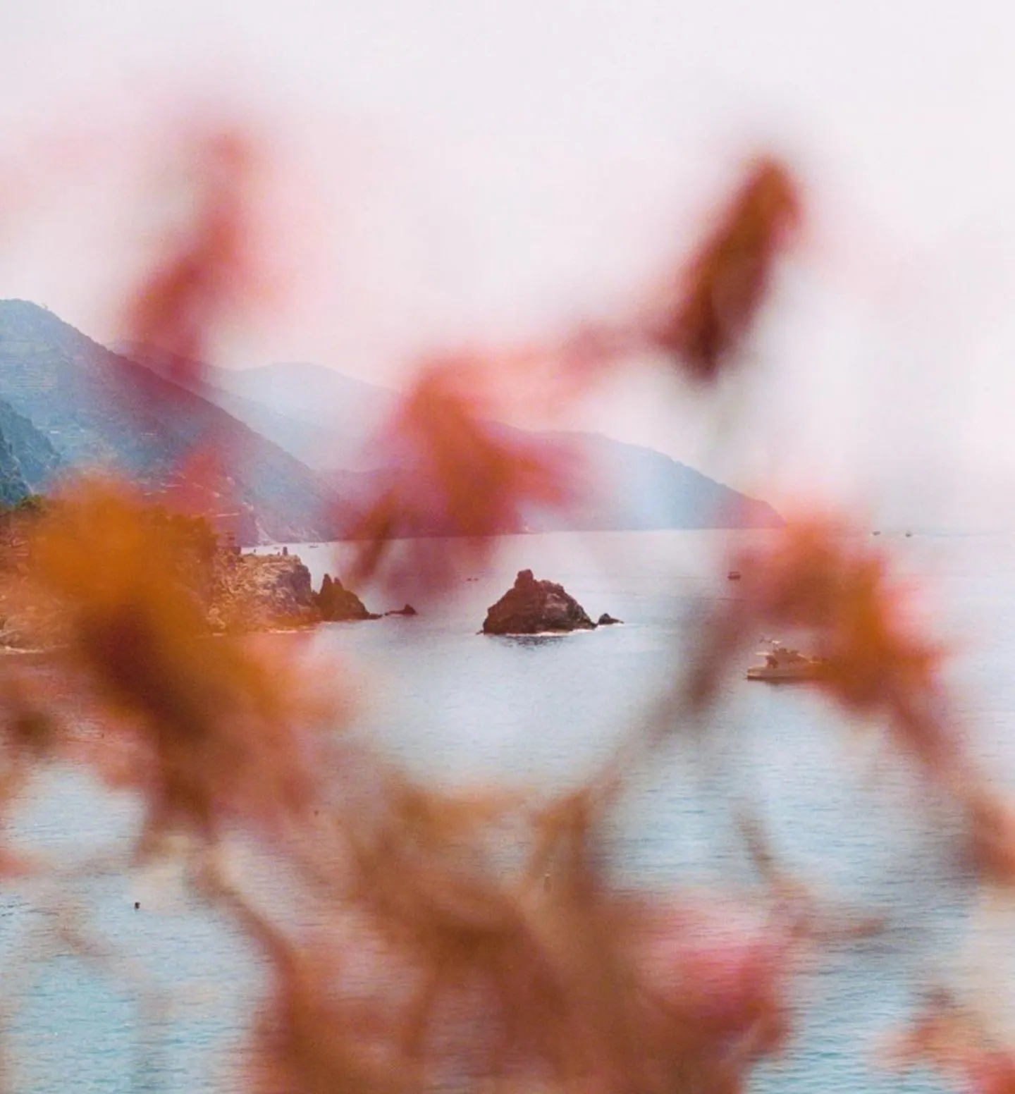 DH Journal Box Weeks 40 41 Right Side Image Stories