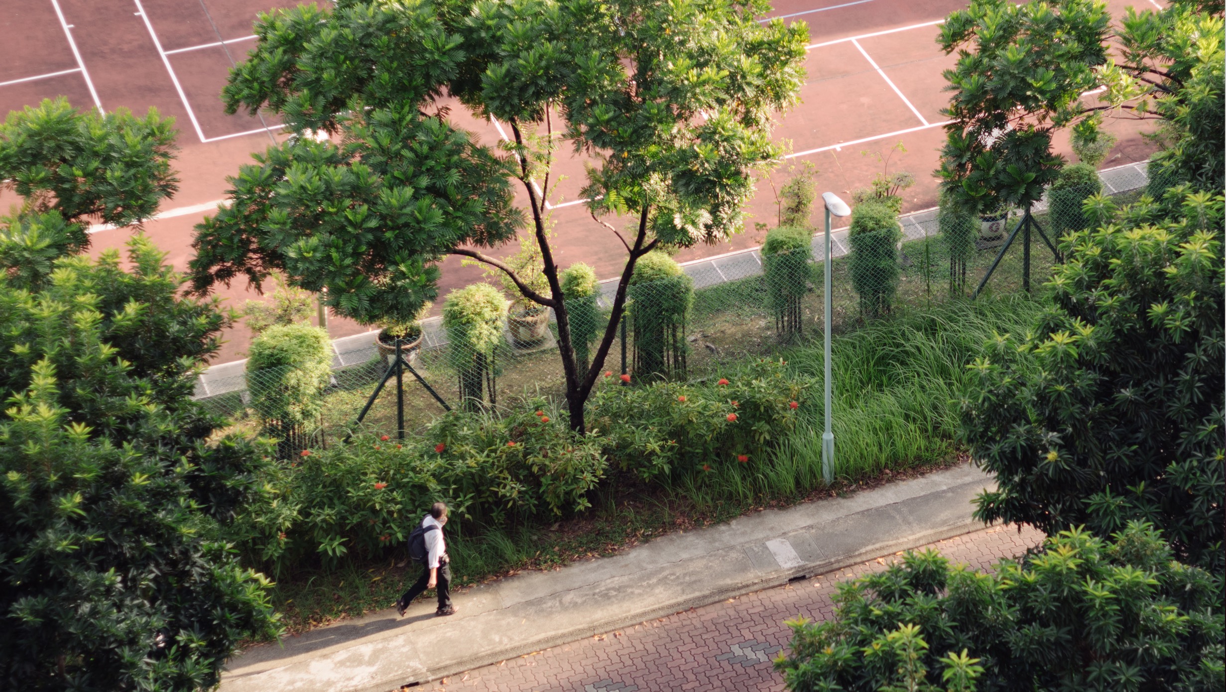 DH Originals Richard Hassell 06 C