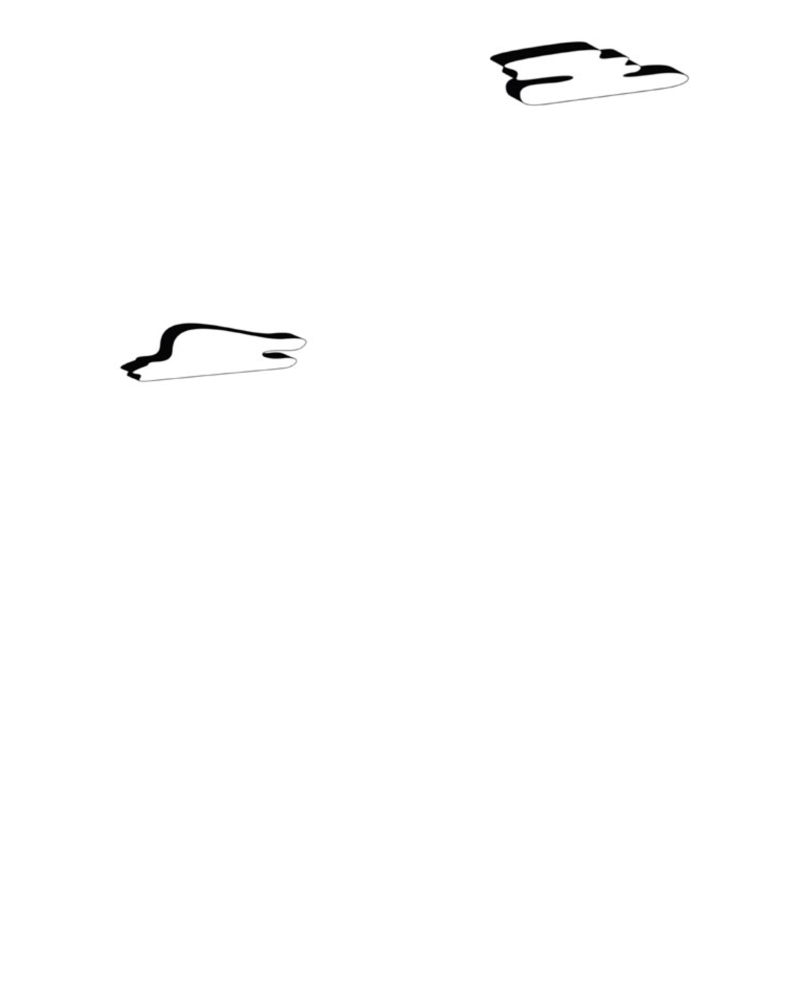 15 My Private Odyssey Charlotte Fox