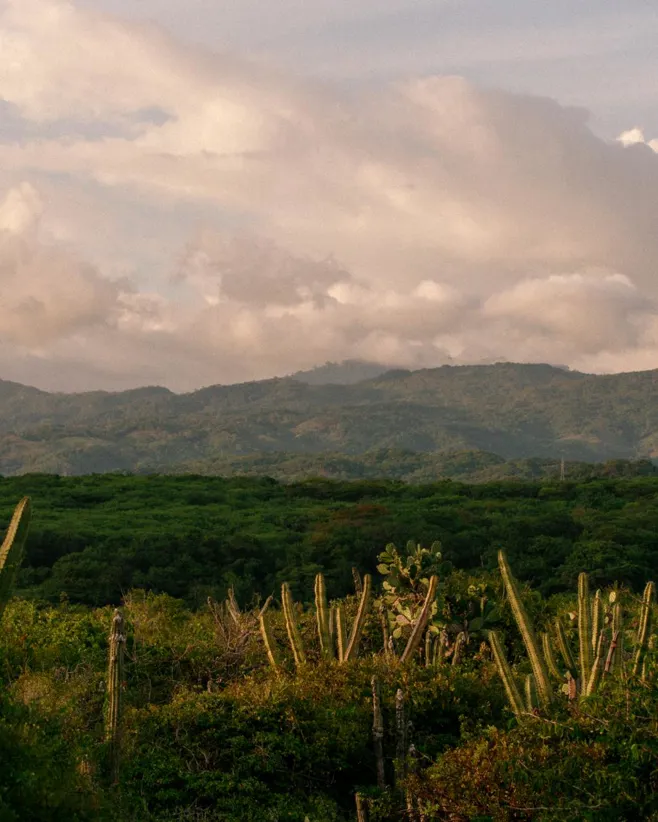 001 Mexico II Puerto Escondido Header