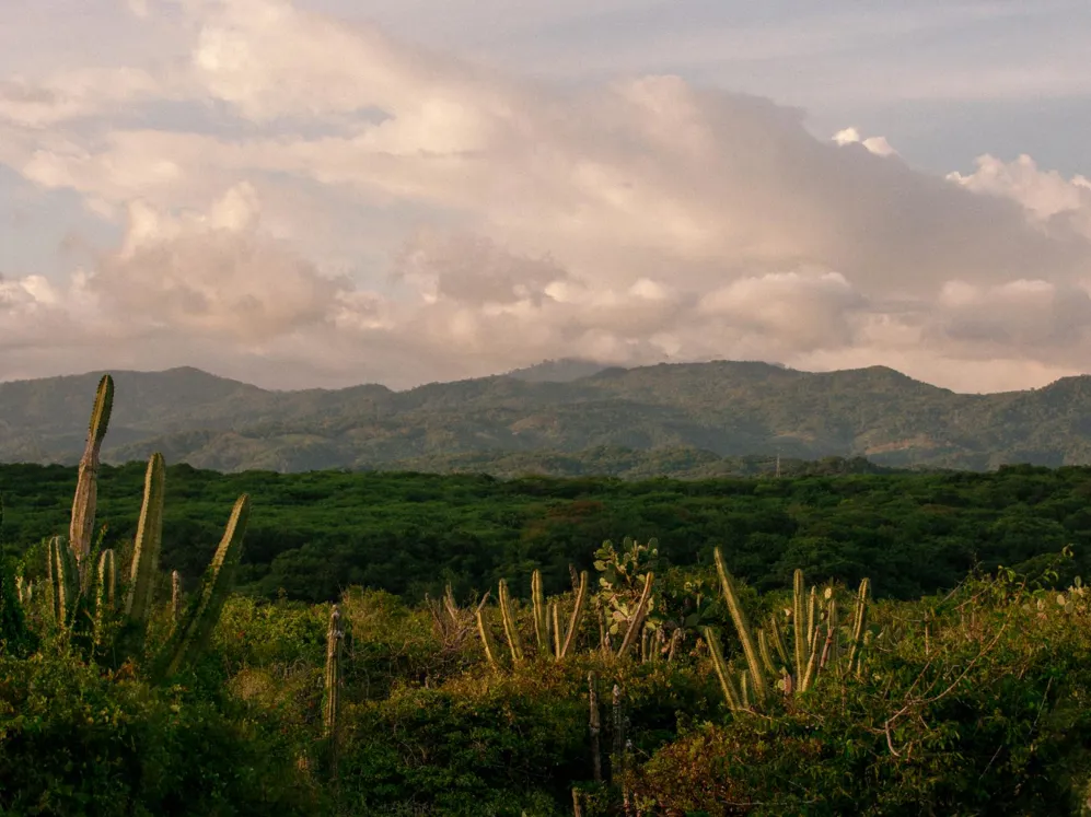 001 Mexico II Puerto Escondido Header