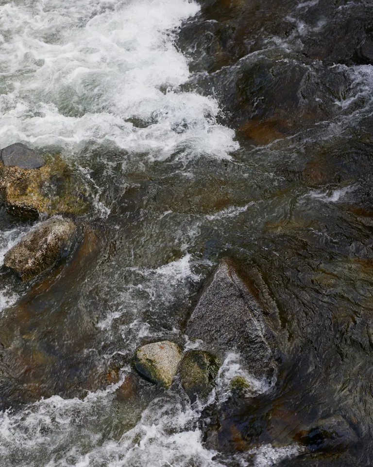 011 L Ovella Negra Nature Water Rocks