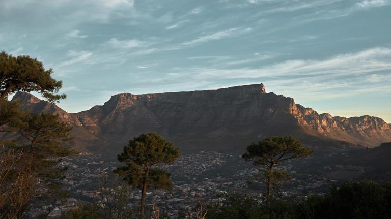 008 Gorgeous George Cape Town Landscape